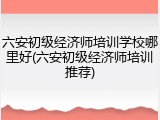 六安初级经济师培训学校哪里好(六安初级经济师培训推荐)