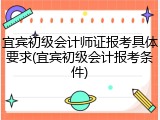 宜宾初级会计师证报考具体要求(宜宾初级会计报考条件)