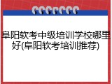阜阳软考中级培训学校哪里好(阜阳软考培训推荐)