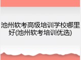 池州软考高级培训学校哪里好(池州软考培训优选)