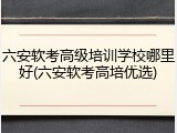 六安软考高级培训学校哪里好(六安软考高培优选)