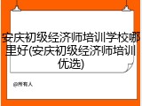 安庆初级经济师培训学校哪里好(安庆初级经济师培训优选)