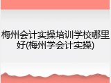 梅州会计实操培训学校哪里好(梅州学会计实操)