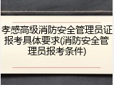 孝感高级消防安全管理员证报考具体要求(消防安全管理员报考条件)