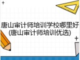 唐山审计师培训学校哪里好(唐山审计师培训优选)