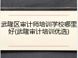 武隆区审计师培训学校哪里好(武隆审计培训优选)