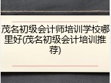 茂名初级会计师培训学校哪里好(茂名初级会计培训推荐)