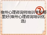 宿州心理咨询师培训学校哪里好(宿州心理咨询培训优选)