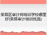 荣昌区审计师培训学校哪里好(荣昌审计培训优选)