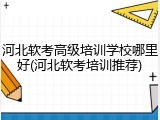 河北软考高级培训学校哪里好(河北软考培训推荐)