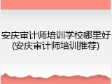 安庆审计师培训学校哪里好(安庆审计师培训推荐)