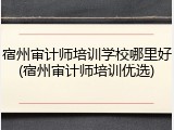 宿州审计师培训学校哪里好(宿州审计师培训优选)