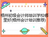 梧州初级会计师培训学校哪里好(梧州会计培训推荐)