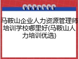 马鞍山企业人力资源管理师培训学校哪里好(马鞍山人力培训优选)