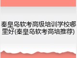 秦皇岛软考高级培训学校哪里好(秦皇岛软考高培推荐)