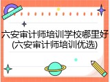 六安审计师培训学校哪里好(六安审计师培训优选)