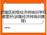 武隆区初级经济师培训学校哪里好(武隆经济师培训推荐)