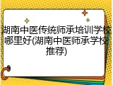 湖南中医传统师承培训学校哪里好(湖南中医师承学校推荐)