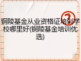 铜陵基金从业资格证培训学校哪里好(铜陵基金培训优选)
