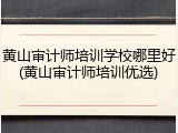 黄山审计师培训学校哪里好(黄山审计师培训优选)