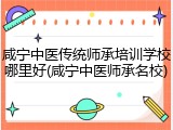 咸宁中医传统师承培训学校哪里好(咸宁中医师承名校)
