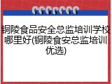 铜陵食品安全总监培训学校哪里好(铜陵食安总监培训优选)