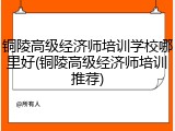 铜陵高级经济师培训学校哪里好(铜陵高级经济师培训推荐)