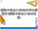 铜陵中级会计师培训学校哪里好(铜陵中级会计培训优选)