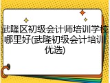 武隆区初级会计师培训学校哪里好(武隆初级会计培训优选)