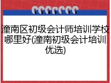 潼南区初级会计师培训学校哪里好(潼南初级会计培训优选)