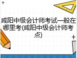 咸阳中级会计师考试一般在哪里考(咸阳中级会计师考点)