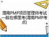 渭南PMP项目管理师考试一般在哪里考(渭南PMP考点)