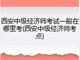 西安中级经济师考试一般在哪里考(西安中级经济师考点)