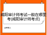 咸阳审计师考试一般在哪里考(咸阳审计师考点)