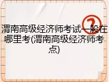 渭南高级经济师考试一般在哪里考(渭南高级经济师考点)