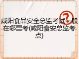 咸阳食品安全总监考试一般在哪里考(咸阳食安总监考点)
