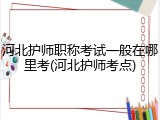 河北护师职称考试一般在哪里考(河北护师考点)