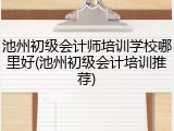 池州初级会计师培训学校哪里好(池州初级会计培训推荐)