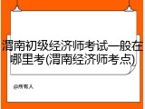 渭南初级经济师考试一般在哪里考(渭南经济师考点)