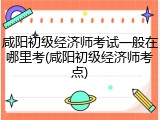 咸阳初级经济师考试一般在哪里考(咸阳初级经济师考点)