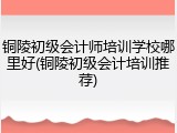 铜陵初级会计师培训学校哪里好(铜陵初级会计培训推荐)