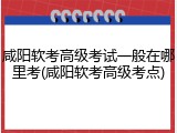 咸阳软考高级考试一般在哪里考(咸阳软考高级考点)