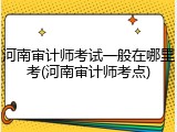 河南审计师考试一般在哪里考(河南审计师考点)
