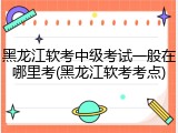 黑龙江软考中级考试一般在哪里考(黑龙江软考考点)