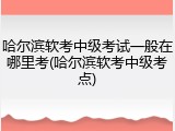 哈尔滨软考中级考试一般在哪里考(哈尔滨软考中级考点)