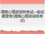 渭南心理咨询师考试一般在哪里考(渭南心理咨询师考点)