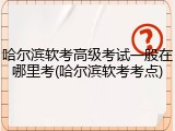 哈尔滨软考高级考试一般在哪里考(哈尔滨软考考点)