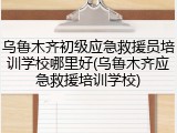 乌鲁木齐初级应急救援员培训学校哪里好(乌鲁木齐应急救援培训学校)
