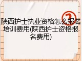 陕西护士执业资格怎么报名培训费用(陕西护士资格报名费用)