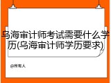 乌海审计师考试需要什么学历(乌海审计师学历要求)